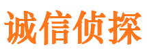 大埔捉小三公司